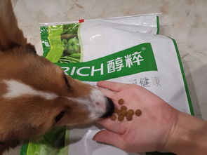 醇粹 小型成犬粮均衡营养亮毛配方狗粮10kg