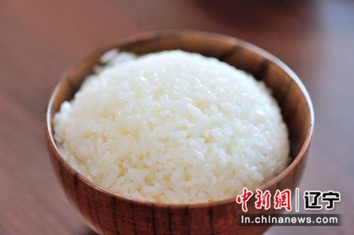 中新社记者探秘沈阳沈北新区 绿色工厂 生产线