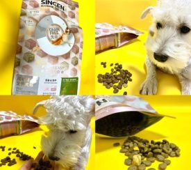 狗狗吃哪种狗粮好?信元发育宝狗粮闭眼入就对了!