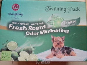 优质狗粮、宠物零食与用品一站式选购指南