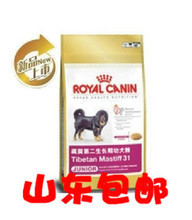 皇家藏獒专用狗粮 产品全览与选择指南